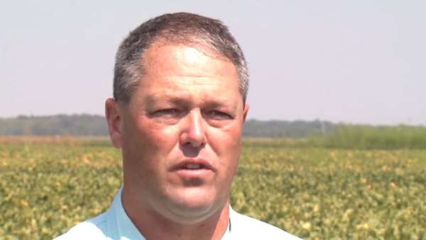 A student&rsquo;s guide to careers in agronomy
