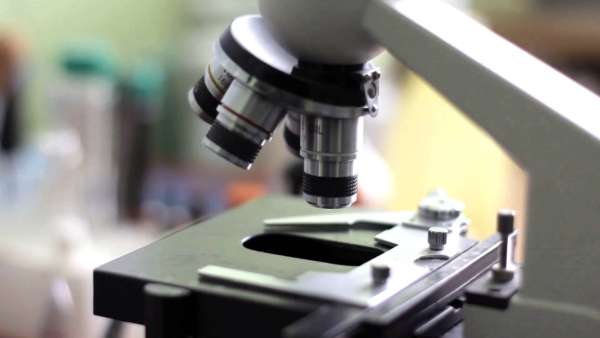 Food science
