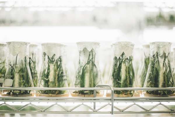 Biotechnology