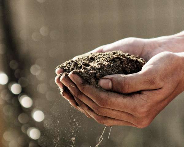 Soil health