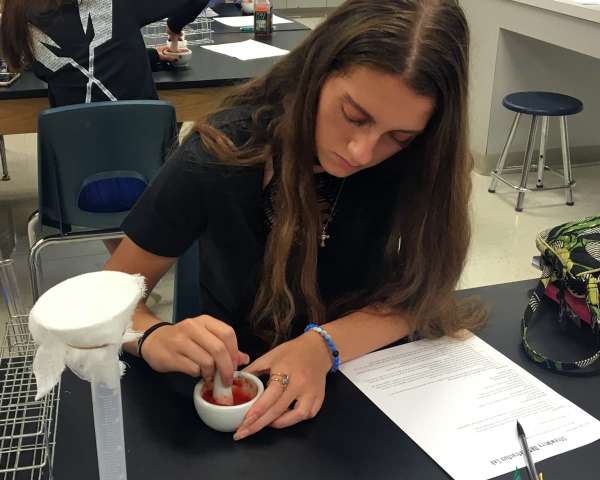 AFNR biotechnology