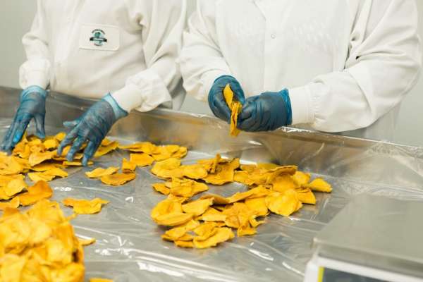 Food science careers