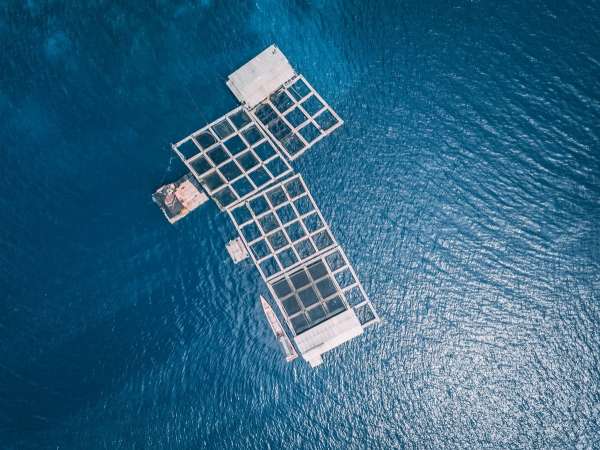 Aquaculture