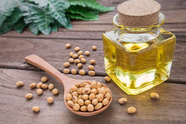 High-oleic oil: What’s all the fuss?