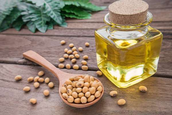 High-oleic oil: What&rsquo;s all the fuss?