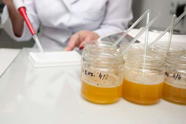 Honey and biotechnology