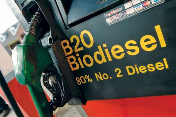 Making and testing biodiesel from soybeans
