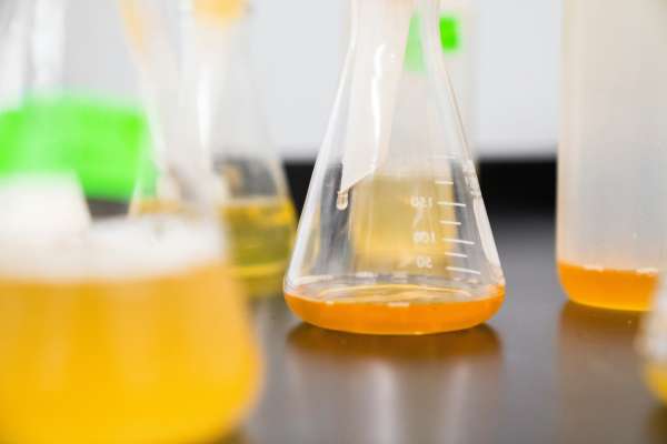 Making and testing bioproducts