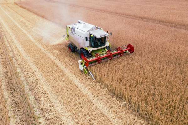 Modeling crop harvesting with Sphero RVR