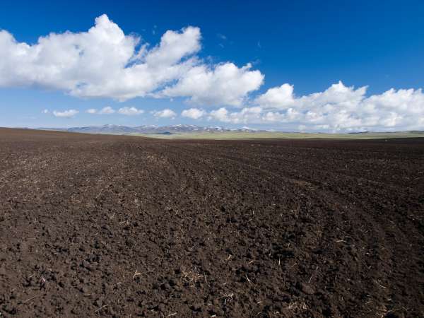 pH in soil