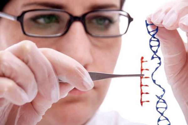 Selective Breeding and GMOs