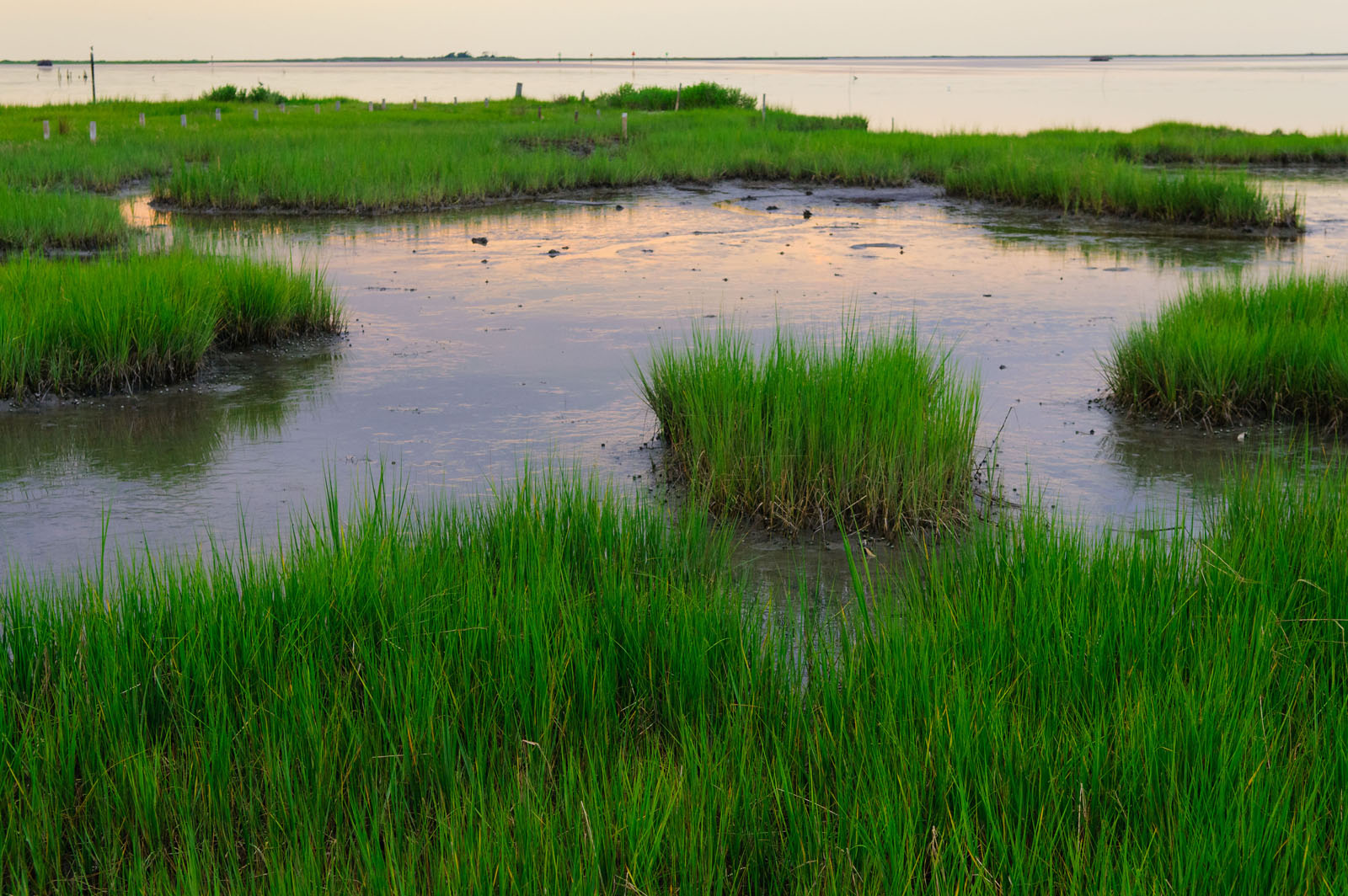 watersheds-wetlands-and-water-quality-data-analysis-grownextgen