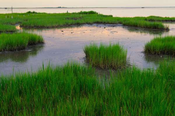 Watersheds, wetlands and water quality data analysis