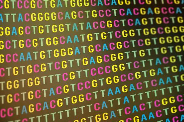 What is Bioinformatics? It&rsquo;s a BLAST