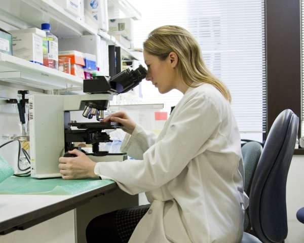 Bioinformatics