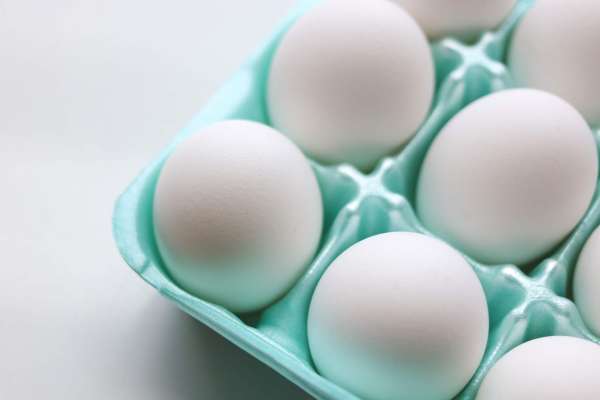 Egg-laying environments