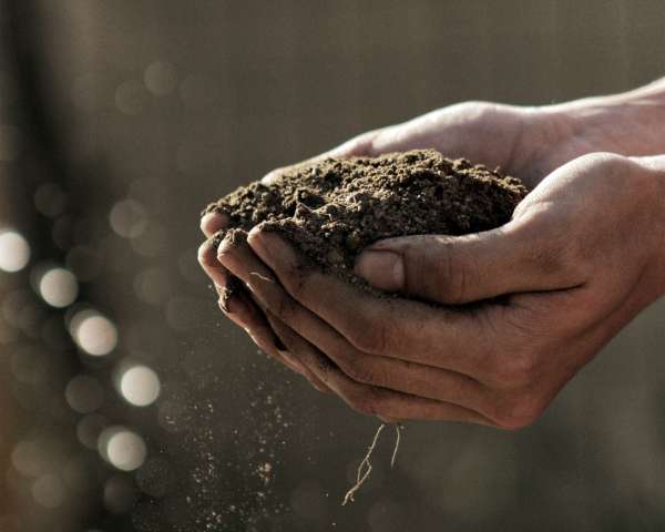 Soil health and sustainability