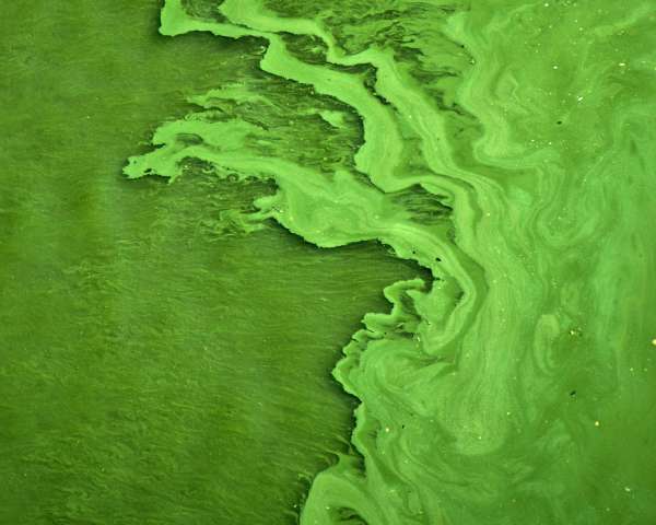 Water quality