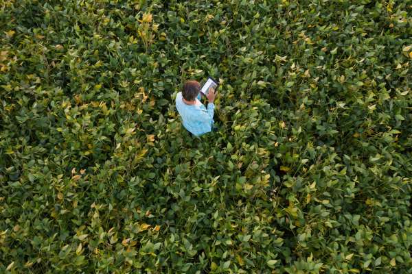 Precision Ag Virtual Field Trip: Problem Solving with Tech