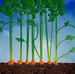 Thrive