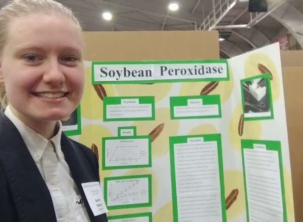 Checking peroxidase levels in soybean plants