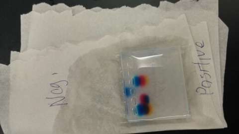 Learning and using gel electrophoresis in class