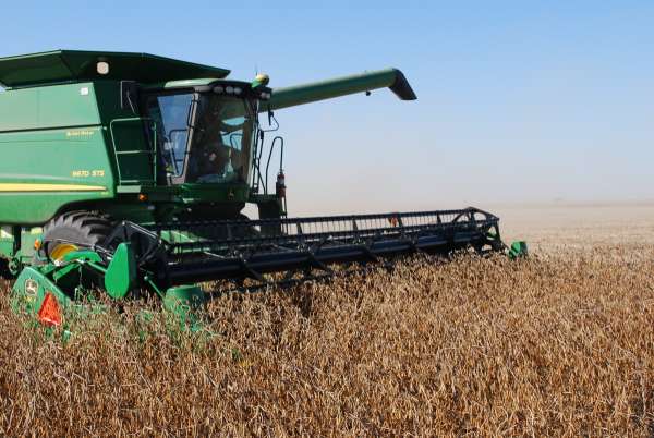 Quality U.S. Soyfood Beans: Ohio Food-Grade Soybean Harvest Progressing