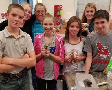 Students study chickens, eggs and more chicks