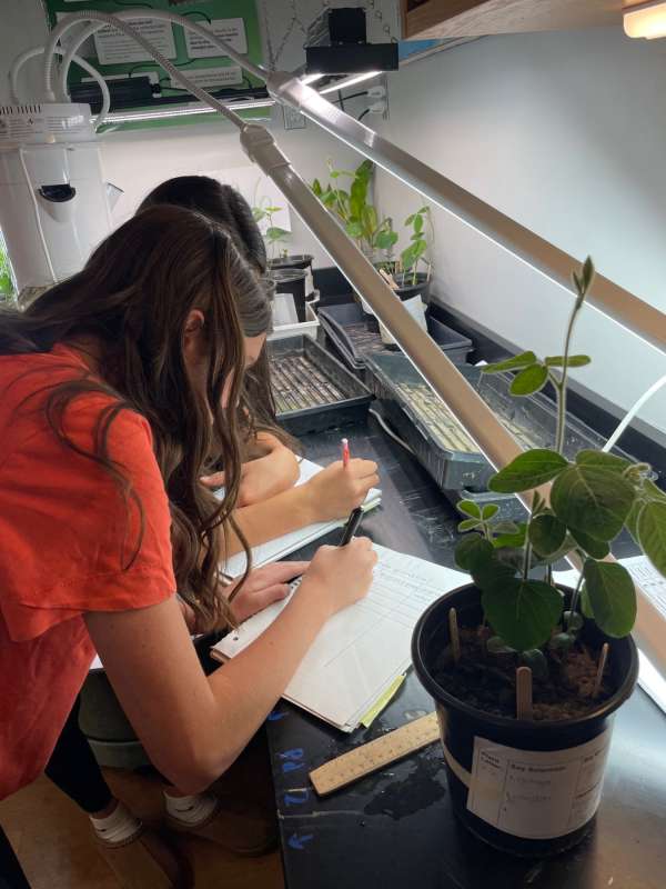 Teacher Feature: Erica Hitzhusen grows scientists with soybeans