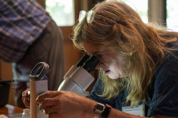 When are insects the best pest control?