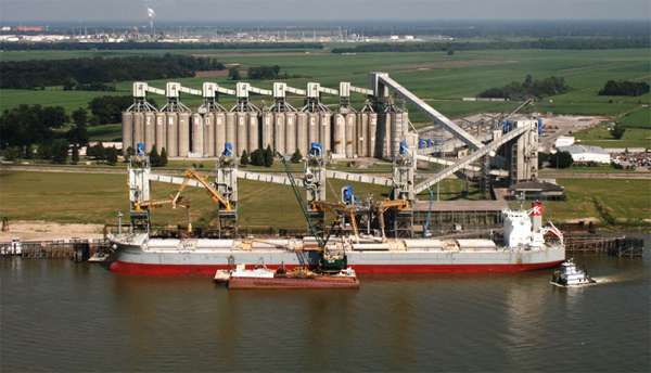Where do our soybeans go?