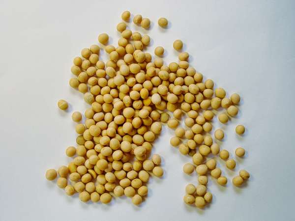 World Food Prize program participant fights anemia and malnutrition