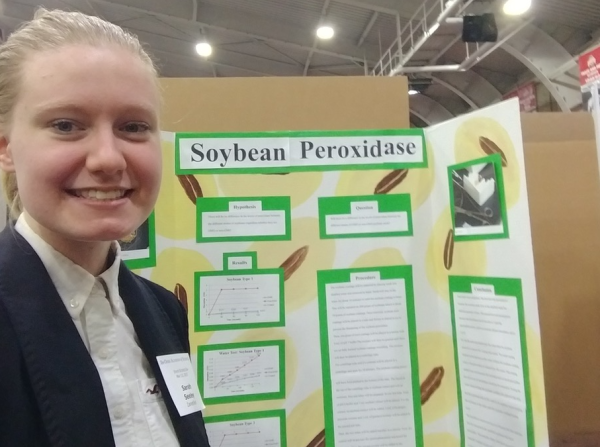 Soybean peroxidase