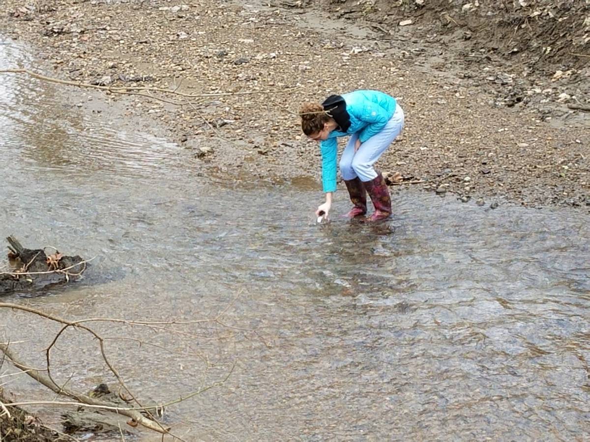 Testing Local Waterways for Microplastic Pollution and its Effect on ...